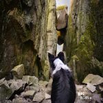 Fjällbacka | Sweden | travel | blog | dogs | reizen