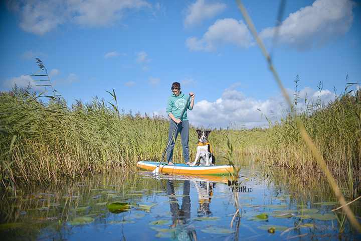 #TongueOutTuesday (31) | dog sup | blog on www.DOGvision.be