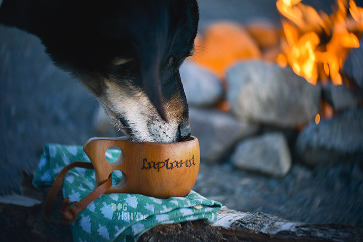 Camping with dogs | kuksa | Sweden | Transylvanian hound | dog photography www.DOGvision.be