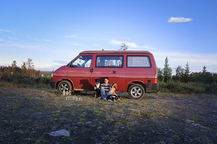 Flatruet and camping with dogs in Jämtland, Sweden | blog on www.DOGvision.be