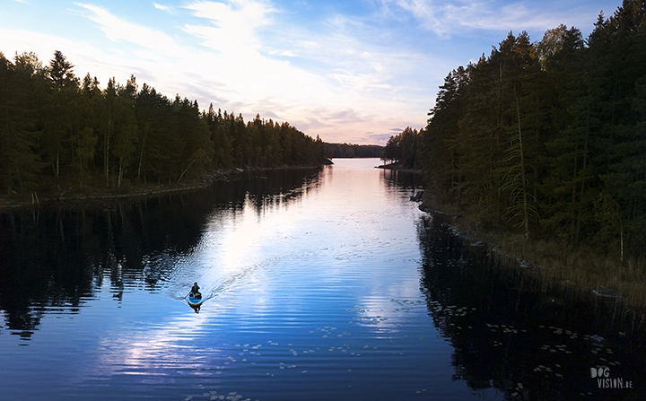 Red paddle co | dog sup | Border Collie | mavric pro drone shot | lake life Sweden | www.DOGvision.be