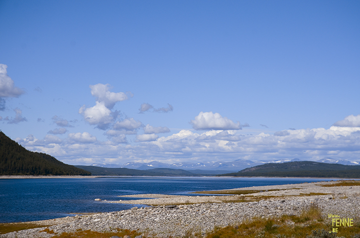 Flatruet and camping with dogs in Jämtland, Sweden | blog on www.DOGvision.be