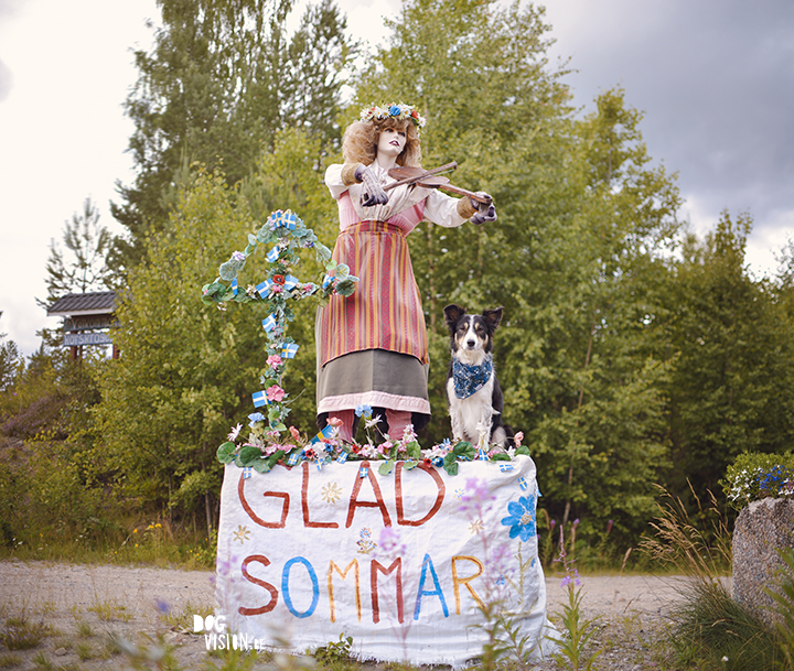 Flatruet and camping with dogs in Jämtland, Sweden | blog on www.DOGvision.be