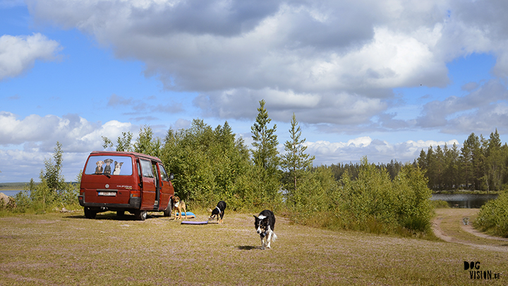 Flatruet and camping with dogs in Jämtland, Sweden | blog on www.DOGvision.be