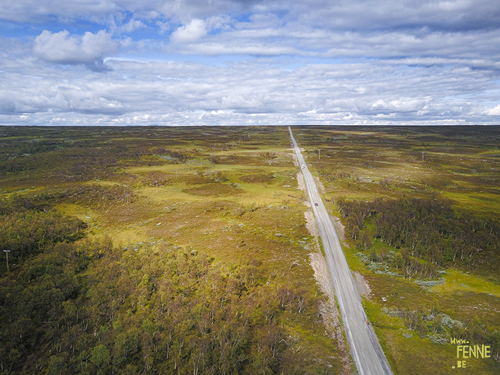 Flatruet and camping with dogs in Jämtland, Sweden | blog on www.DOGvision.be