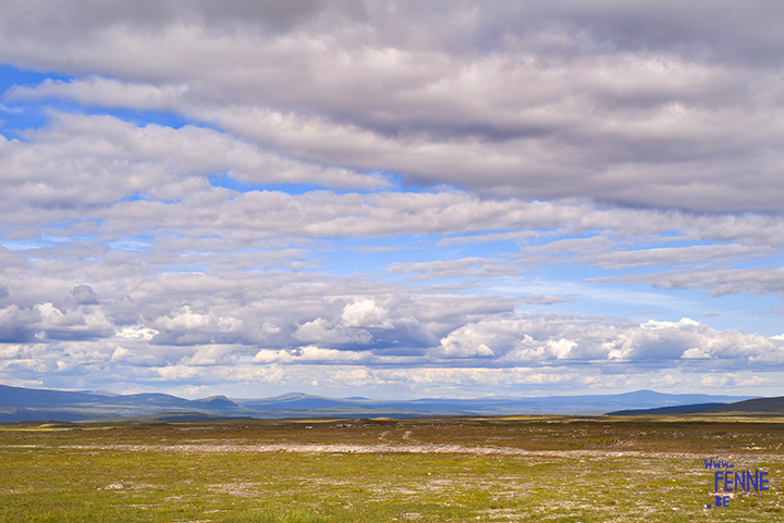 Flatruet and camping with dogs in Jämtland, Sweden | blog on www.DOGvision.be