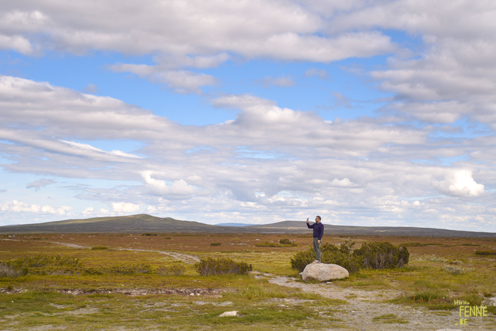 Flatruet and camping with dogs in Jämtland, Sweden | blog on www.DOGvision.be