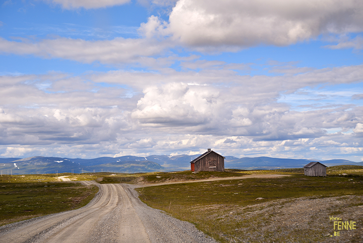 Flatruet and camping with dogs in Jämtland, Sweden | blog on www.DOGvision.be