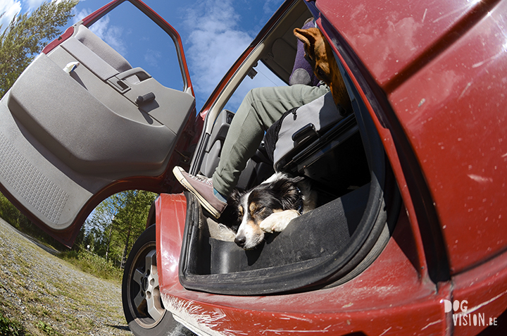 Flatruet and camping with dogs in Jämtland, Sweden | blog on www.DOGvision.be