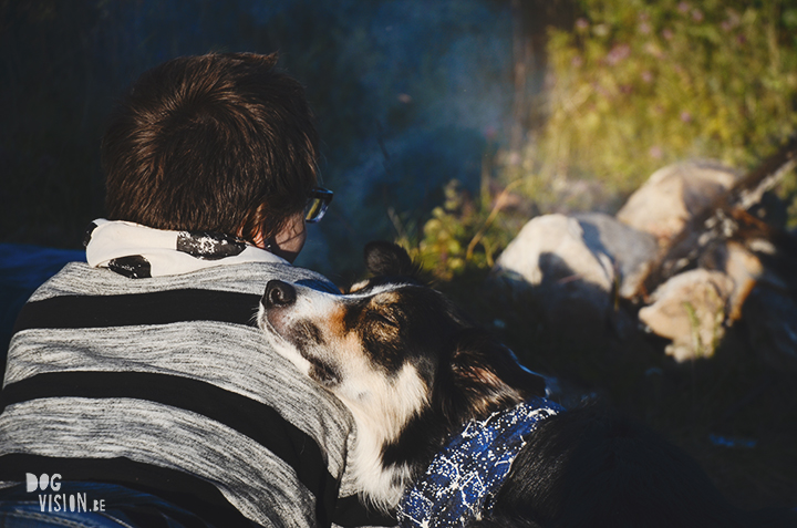 Flatruet and camping with dogs in Jämtland, Sweden | blog on www.DOGvision.be