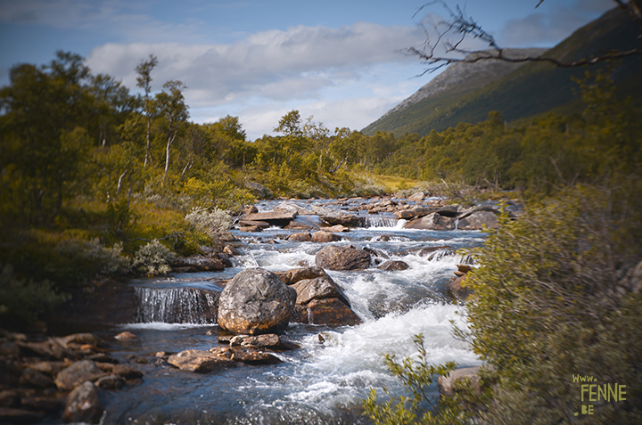 Lensbaby Twist 60 and Sweet 35 review | www.DOGvision.be