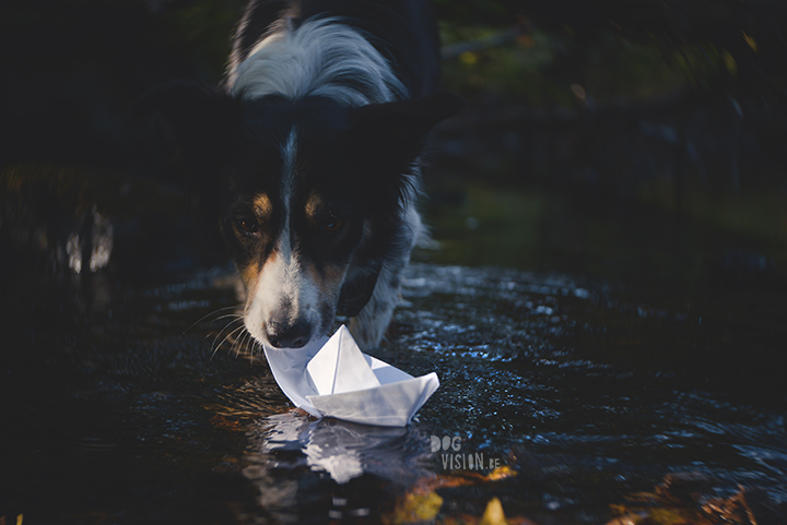 Riverside | Border Collie | creative dog photography | paper boat | The story behind the photo, blog on www.DOGvision.be (Hondenfotografie)