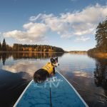 Autumn SUP | Ruffwear | Red Paddle Co | GoPro | blog on www.DOGvision.eu