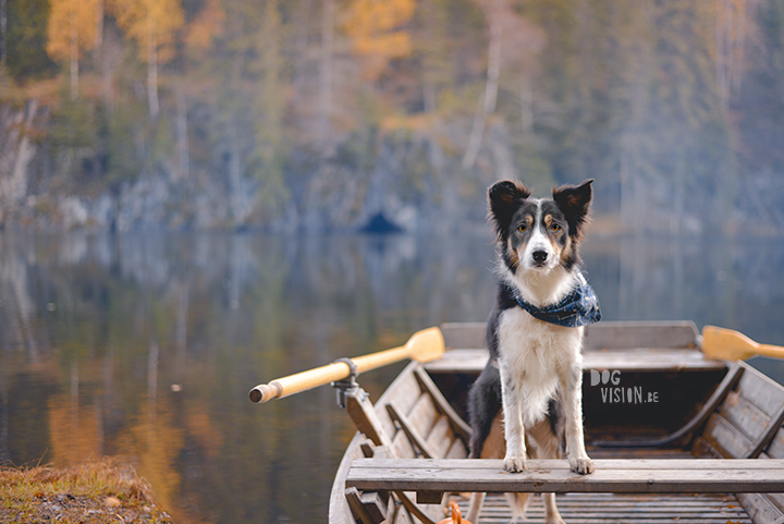 Jätturn naturreservat (Dalarna, Sweden) | www.DOGvision.be