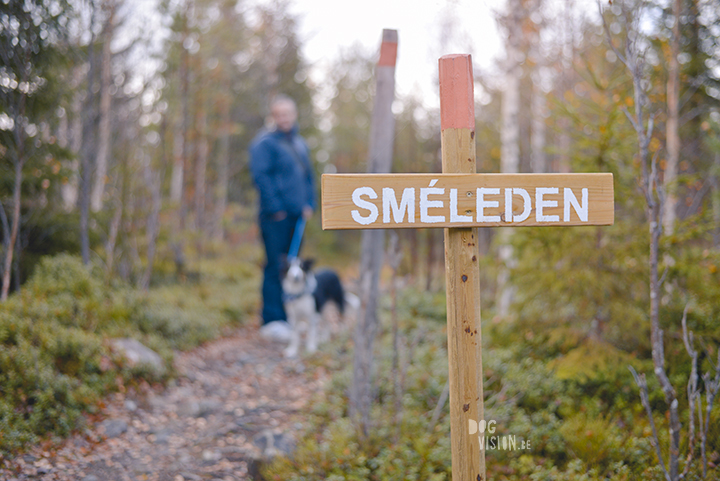 Jätturn naturreservat (Dalarna, Sweden) | www.DOGvision.be