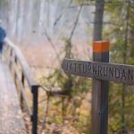 Jätturn naturreservat (Dalarna, Sweden) | www.DOGvision.be