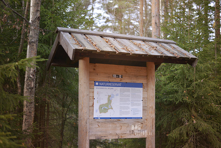 Jätturn naturreservat (Dalarna, Sweden) | www.DOGvision.be