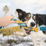 DIY voor Honden: fleece trektouw | tug of war| hondenfotografie en blog| www.DOGvision.beDIY voor Honden: fleece trektouw | tug of war| hondenfotografie en blog| www.DOGvision.be