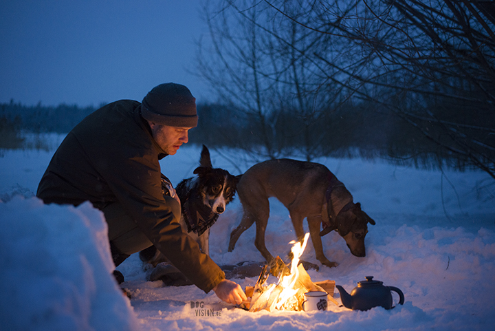 #TongueOutTuesday (08)| leven in Zweden, hondenfotografie, Dalarna | www.DOGvision.be