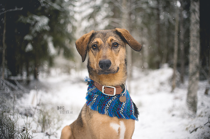 Een zelfgemaakte bandana voor Oona| 40 dagen bloggen | www.DOGvision.be