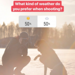 hondenfotografie zonlicht of shaduw? |www.DOGvision.be