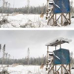 Zoek de 7 verschillen| Hondenfotografie, leven in Zweden, winter, honden| www.DOGvision.be