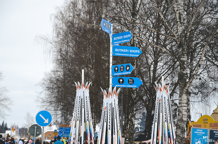 Vasaloppet 2018, Dalarna, Zweden | honden blog, hondenfotografie | www.DOGvision.be