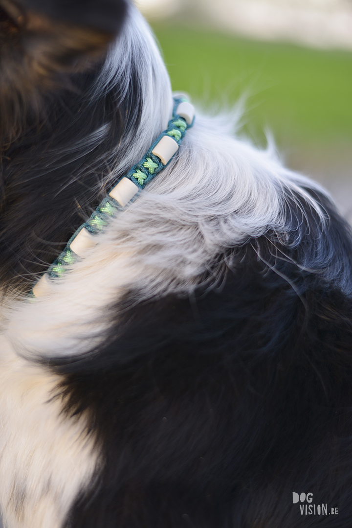 Anti-teken halsband voor honden met EM keramiekkralen, honden diy, macrame, paracord, www.DOGvision.be