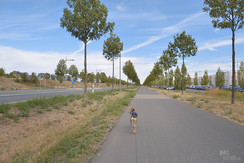 Road trip met honden in Europa, Kamperen in Duitsland met honden, www.DOGvision.be