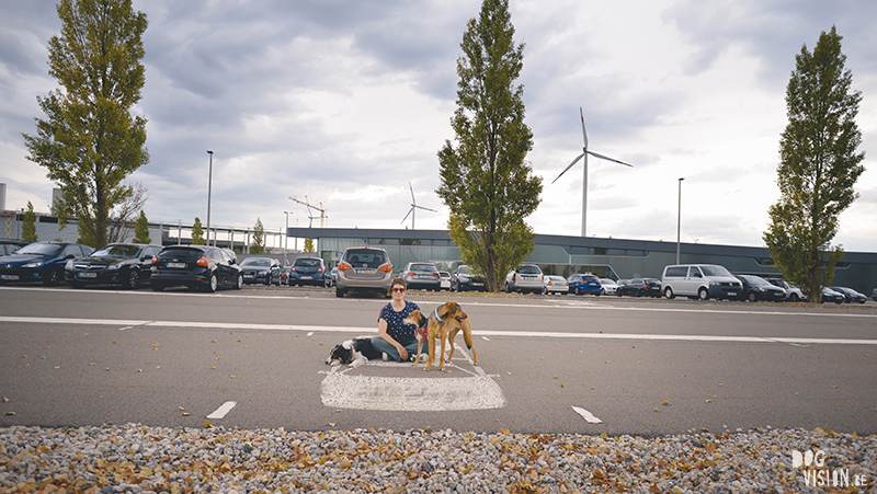 Road trip met honden in Europa, Kamperen in Duitsland met honden, www.DOGvision.be