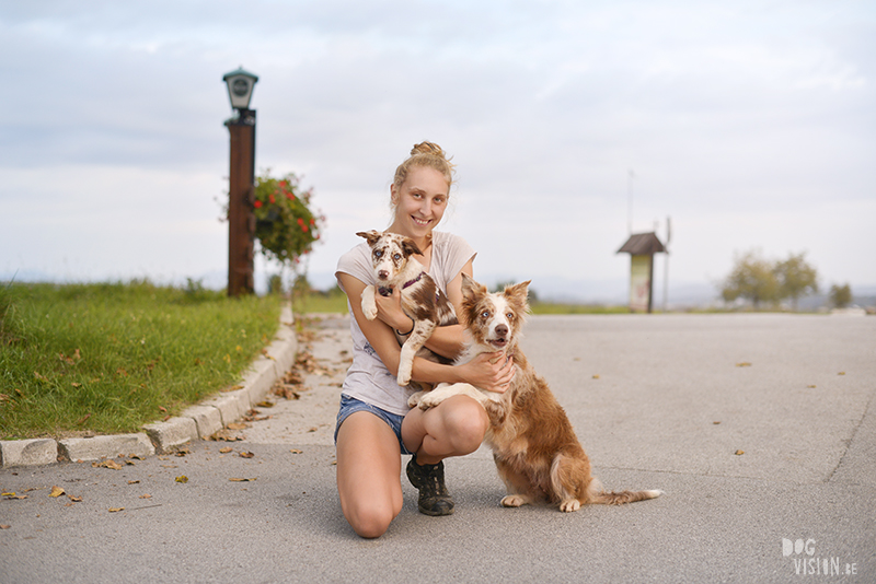 Anja Troha, ipsept18-329bSeptember road trip deel 2: Slovenië, glamping met honden, hondenfotografie, reizen met honden, www.DOGvision.be