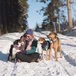 honden in Zweden, verhuizen naar Zweden, wandelen met honden in Zweden, hondenfotografie, commerciele hondenfotografie, hondenblog, www.DOGvision.be