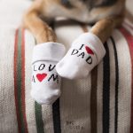 #TongueOutTuesday (11), hondenfotografie, wonen in Zweden, honden in Zweden, www.DOGvision.be