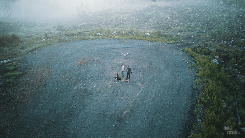 drone foto wandelen met honden in Zweden, www.DOGvision.be