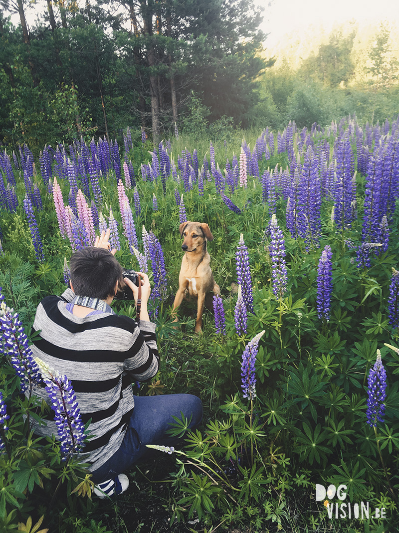 Behind the scenes of DOGvision outdoor photoshoot, www.DOGvision.eu