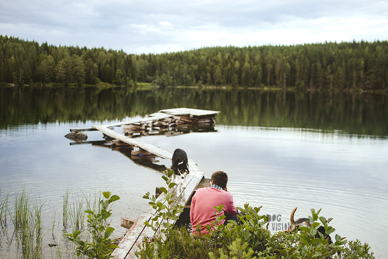 Hondenfotografie Fenne Kustermans, Zweden, Dalarna, www.DOGvision.be