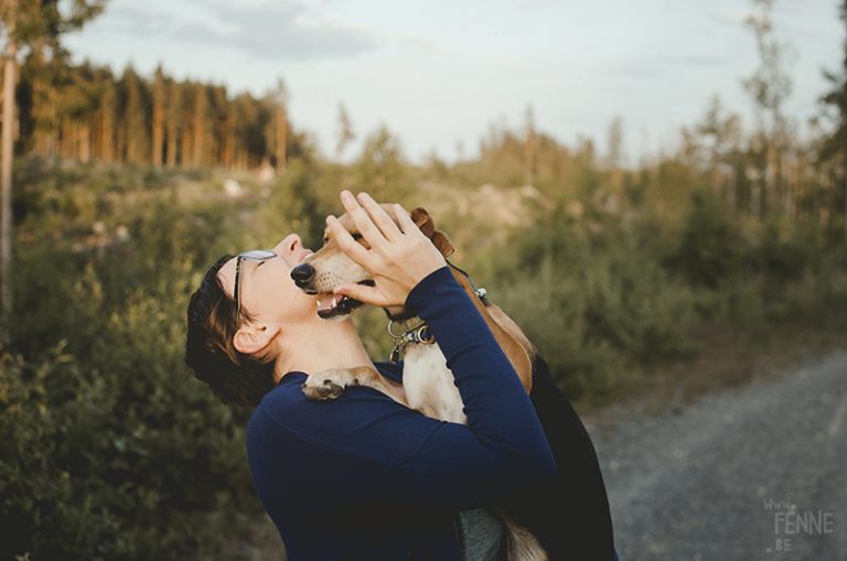 #TongueOutTuesday (28), hondenfotografie Fenne Kustermans, honden in Zweden, Belg in het buitenland, www.DOGvision.be
