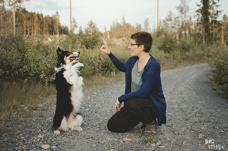 Portret Fenne Kustermans, Border Collie Mogwai, wandelen met honden in Zweden, Dalarna fotografie, www.DOGvision.be