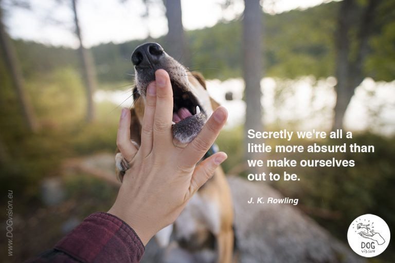 J.K. Rowling quote, Secretly we're all a little more absurd than we make ourselves out to be., www.DOGvision.eu