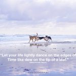 Fenne Kustermans, DOGvision, dog photographer, colorful dog photography, Monday motivation quote.