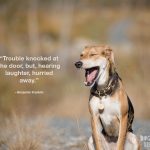 “Trouble knocked at the door, but, hearing laughter, hurried away.” – Benjamin Franklin