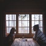 DOGvision hondenfotografie, wandelen met honden in Zweden, hutten zoeken, Dalarna, fika, www.DOGvision.be