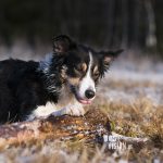 #TongueOutTuesday (14)