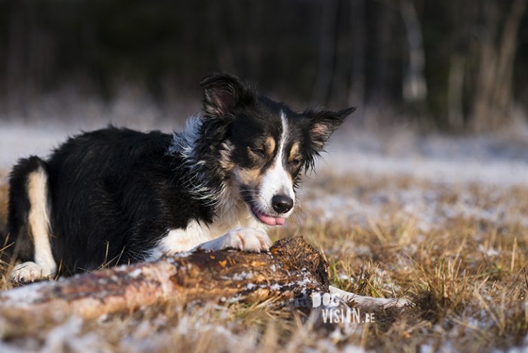 #TongueOutTuesday (14)