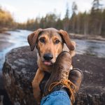 #TongueOutTuesday (22), Fenne Kustermans hondenfotografie, wandelen met honden in Zweden, Belg in Zweden, hondenblog, creatieve hondenfotografie, lifestyle natuur, www.DOGvision.be