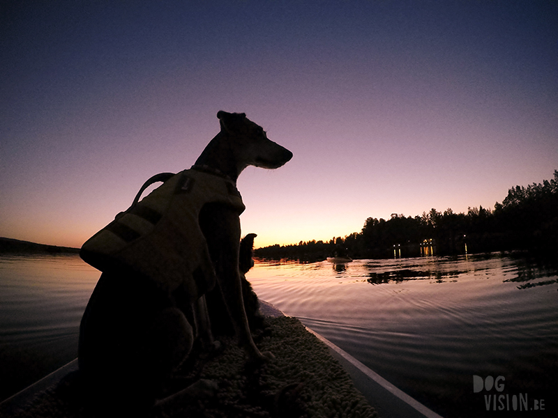 Fenne Kustermans hondenfotografie, fotografie Dalarna Zweden, wandelen met honden in Zweden, Belgen in Zweden, www.DOGvision.be