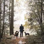 #TongueOutTuesday (43) en de eerste sneeuw, Fenne Kustermans hondenfotografie Zweden, honden fotograferen met Fuji, www.DOGvision.be