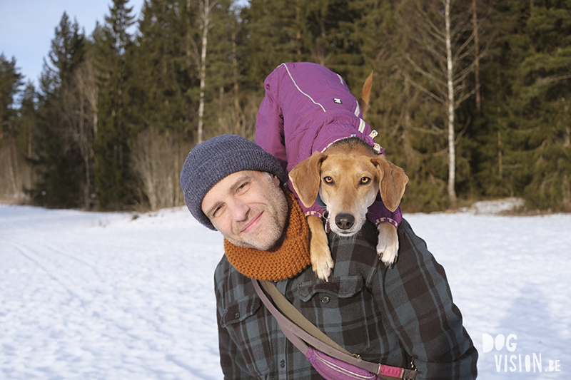 #TongueOutTuesday (06), hondefotografie www.DOGvision.be, honden in Zweden, winter honden, Border Collie