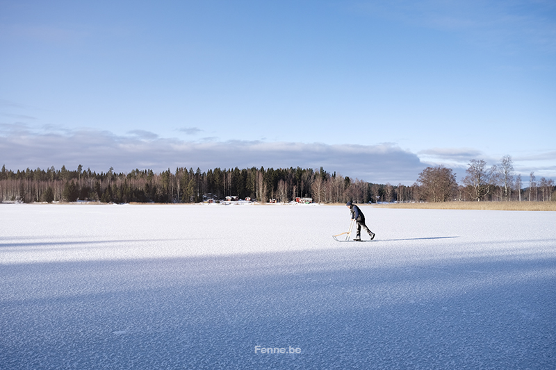 #TongueOutTuesday (07), hondenfotografie, honden in de sneeuw fotograferen, honden in Zweden, www.DOGvision.be