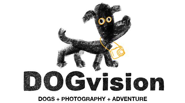 DOGvision